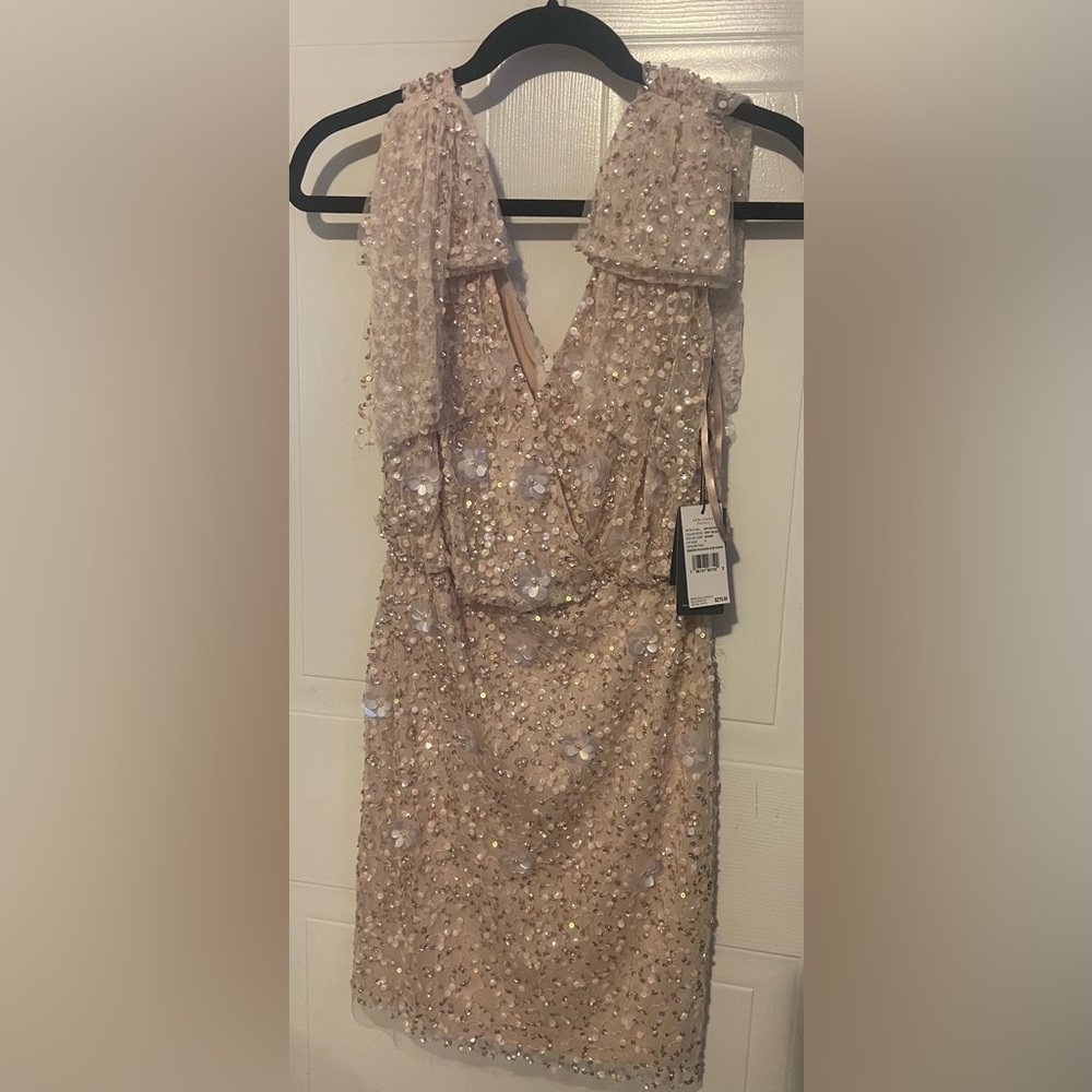 ADRIANNA PAPELL Beaded Blouson Bow Dress
US Size: 0 Brand New with Tags.